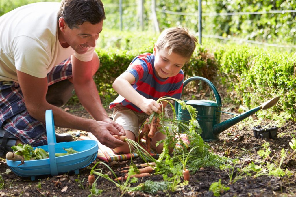 Gardening in spring